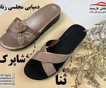 دمپایی مجلسی زنانه