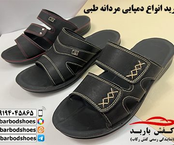 خرید انواع دمپایی مردانه طبی