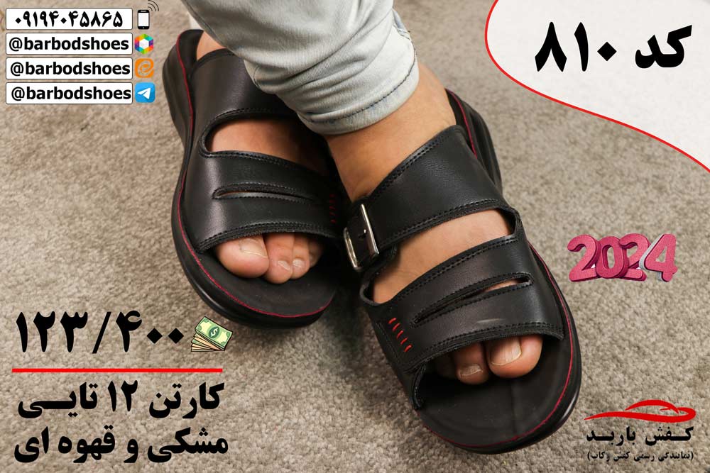 دمپایی مردانه لوکس