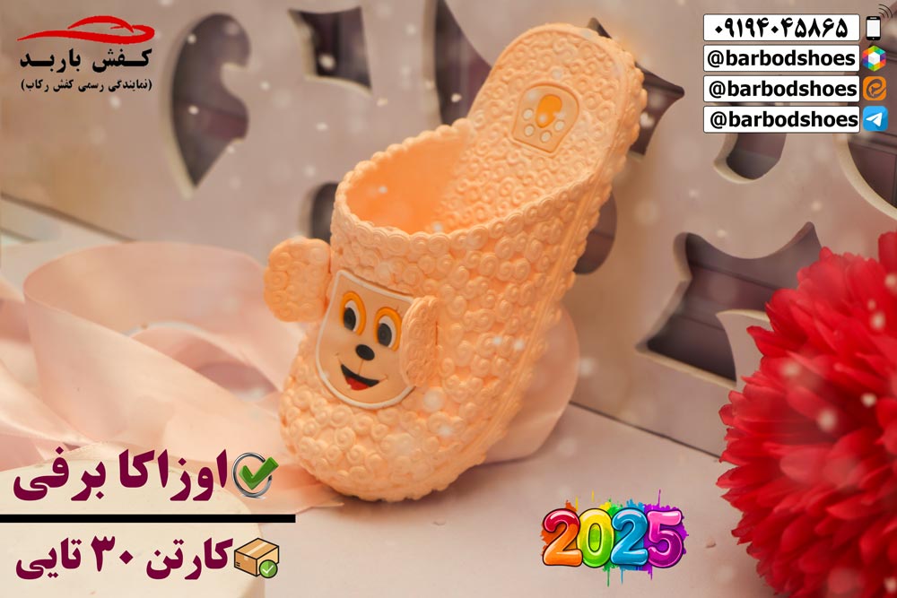 انواع دمپایی جلو بسته