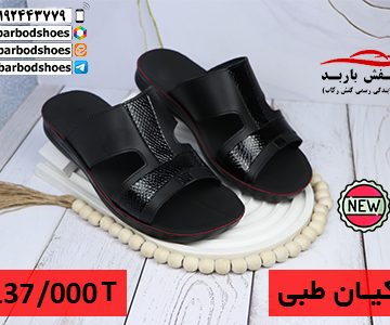 دمپایی مردانه شیک