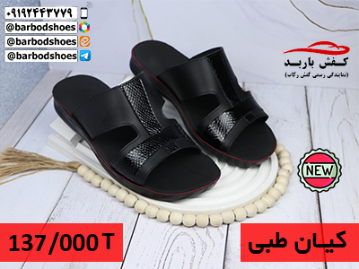 دمپایی مردانه شیک